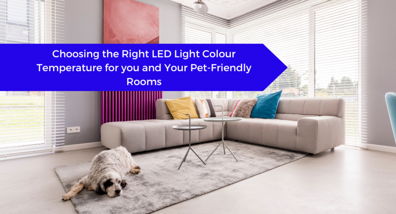 Choosing the Right LED Light Colour Temperature for you and Your Pet-Friendly Rooms